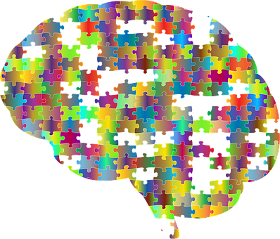 Gehirn, Schädel, Kopf, Psychologie
